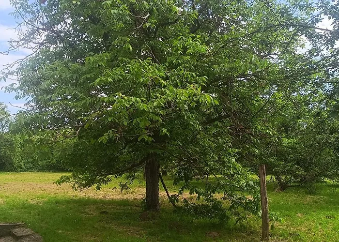 The Hidden Gem, 1 Bedroom, 1 Living Room, 4 Beds, Sleeps 5 Feriehus Siófok